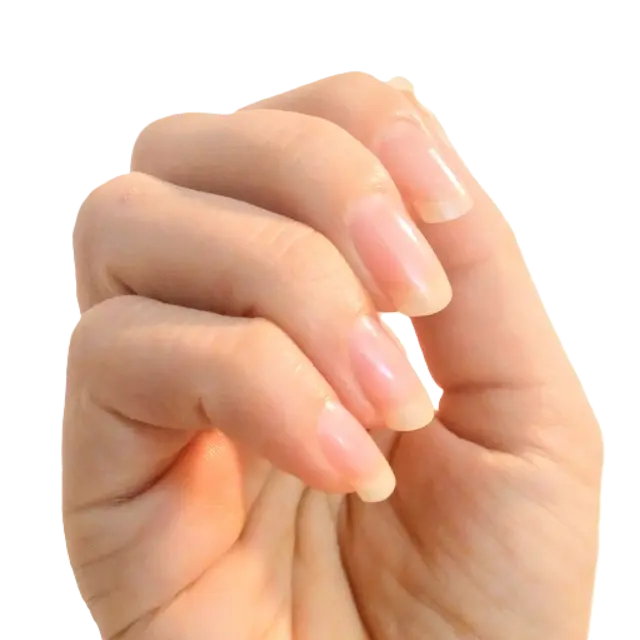 自爪育成ネイルケア Lena nailの内観・外観2