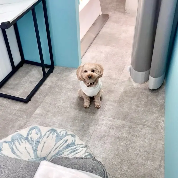 FINOの内観・外観2