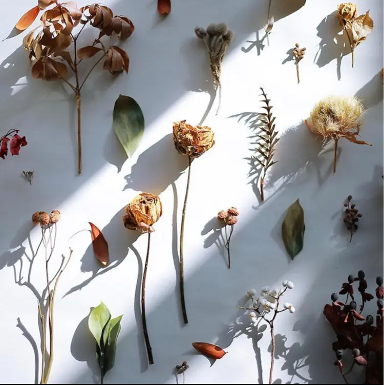 soen by HEADLIGHT 長崎店【ソーエン バイ ヘッドライト】の内観・外観2