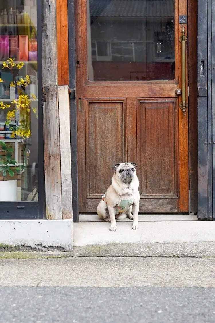 eyebrow Amiliの内観・外観2