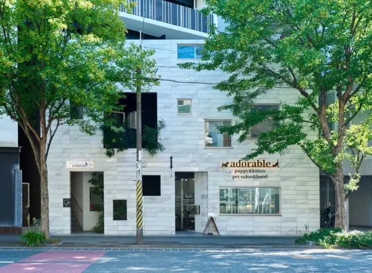 Fuuu《フゥ》の内観・外観3