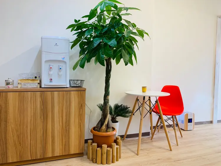 smilの内観・外観2