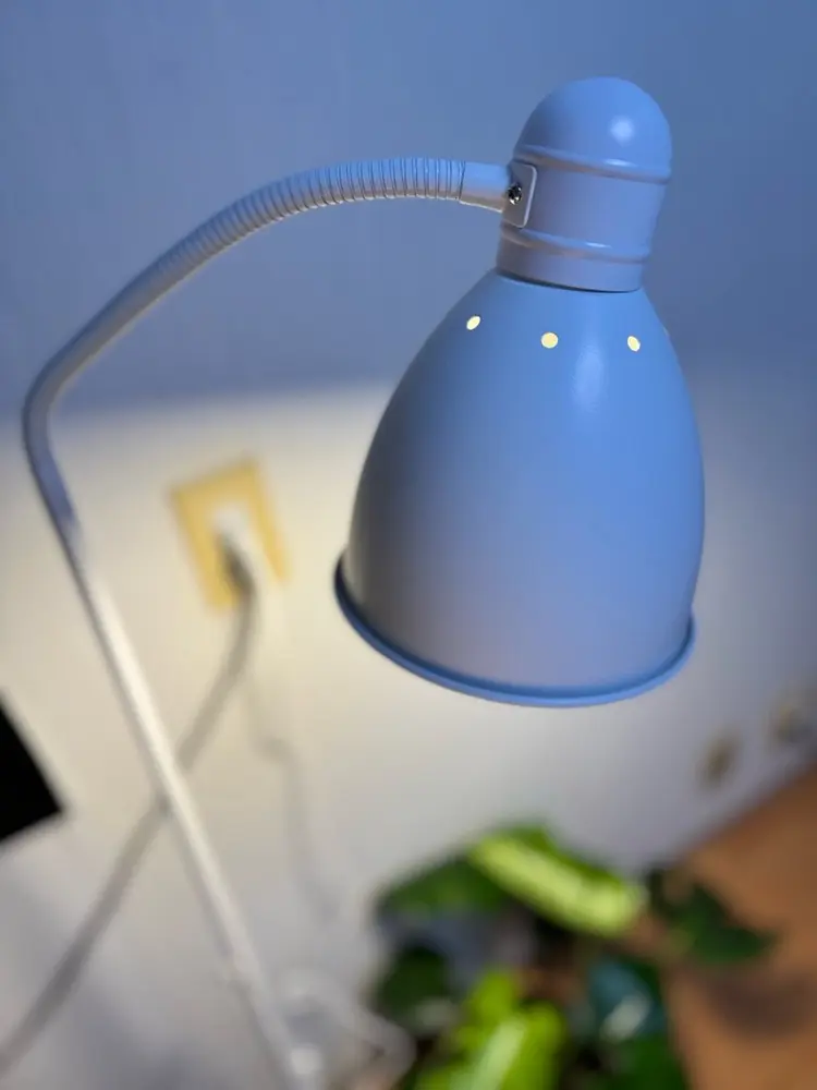 nail minkの内観・外観2