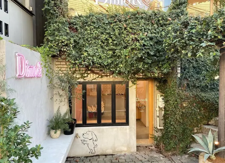 Dimo&の内観・外観1