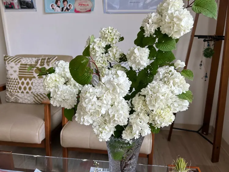 ラ・ファミーユシルクの内観・外観1