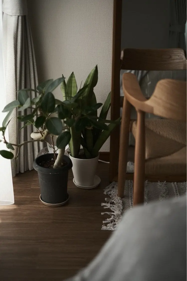 Plaran〜プララン〜京都桂店の内観・外観1