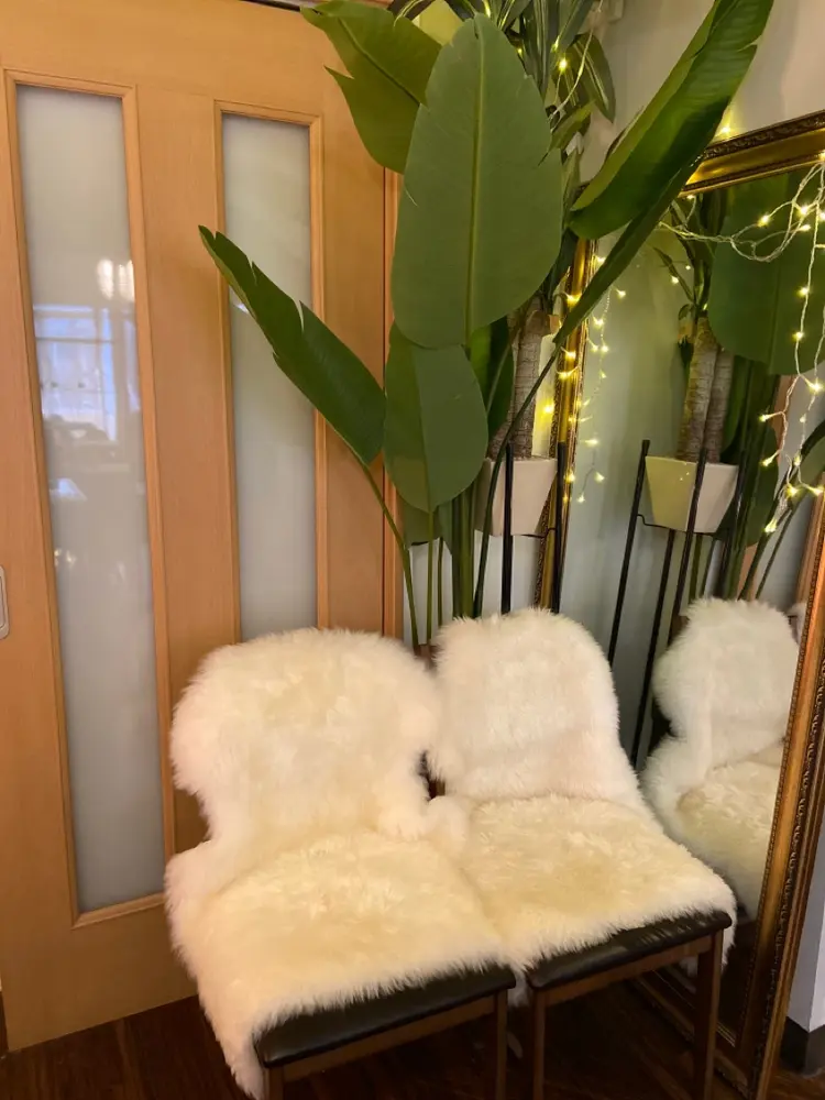 Apsaras putihの内観・外観3