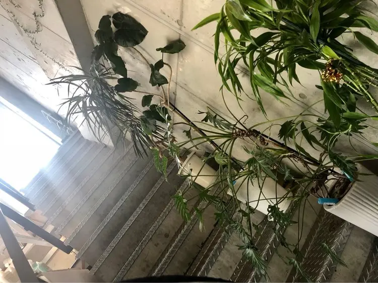 ドアベルの内観・外観2