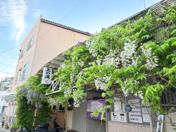 おかみねいるの内観・外観2