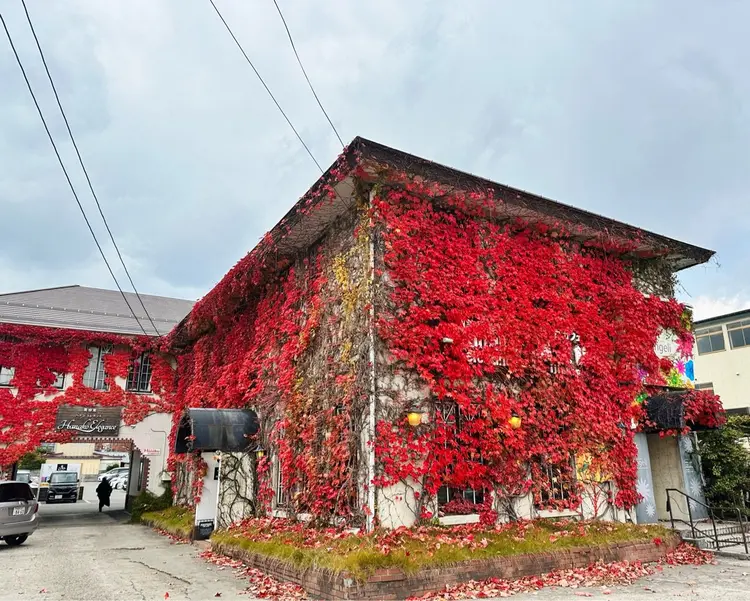 美容室Hanako elegance八橋店の内観・外観1