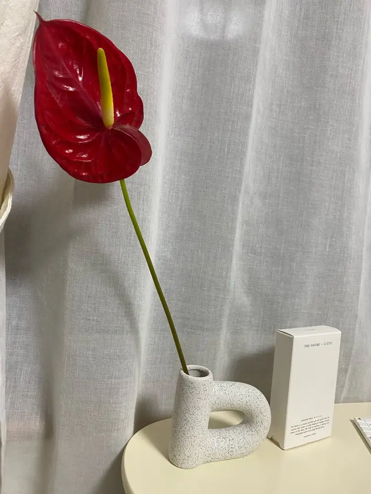 two 3 nailの内観・外観2