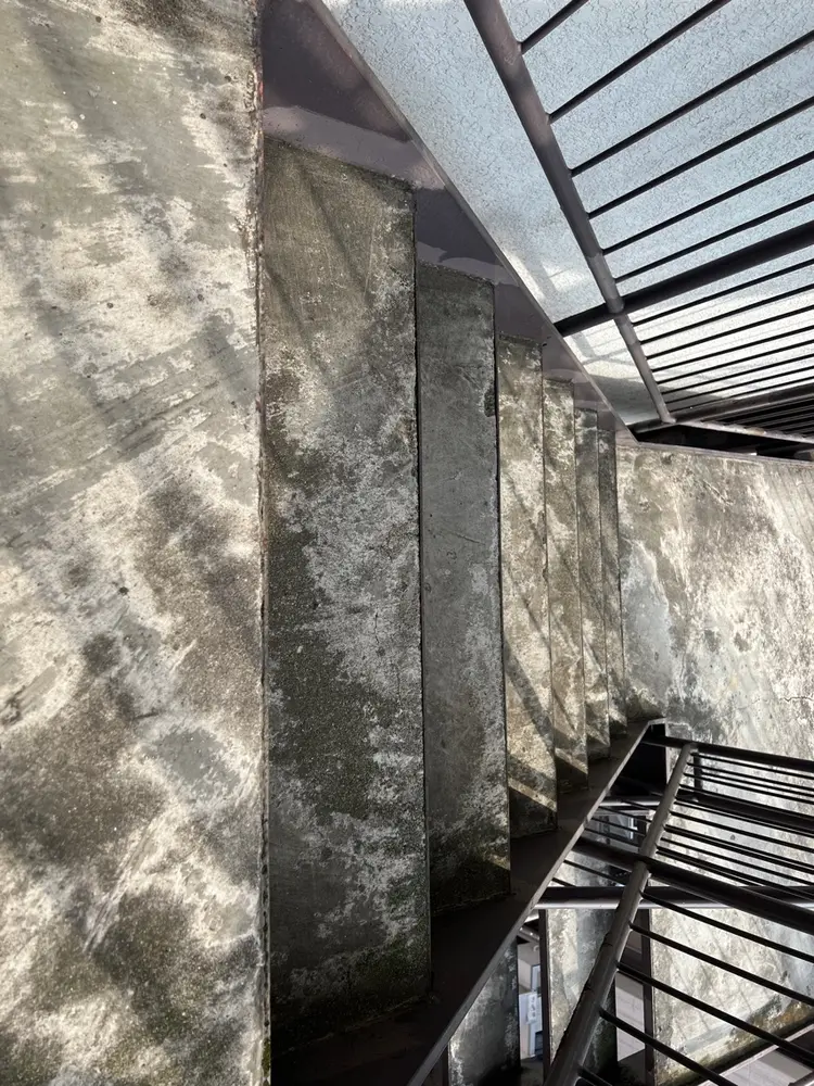 LOOPERの内観・外観2