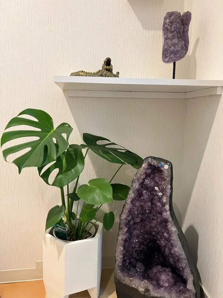 Grace(グレイス)の内観・外観3