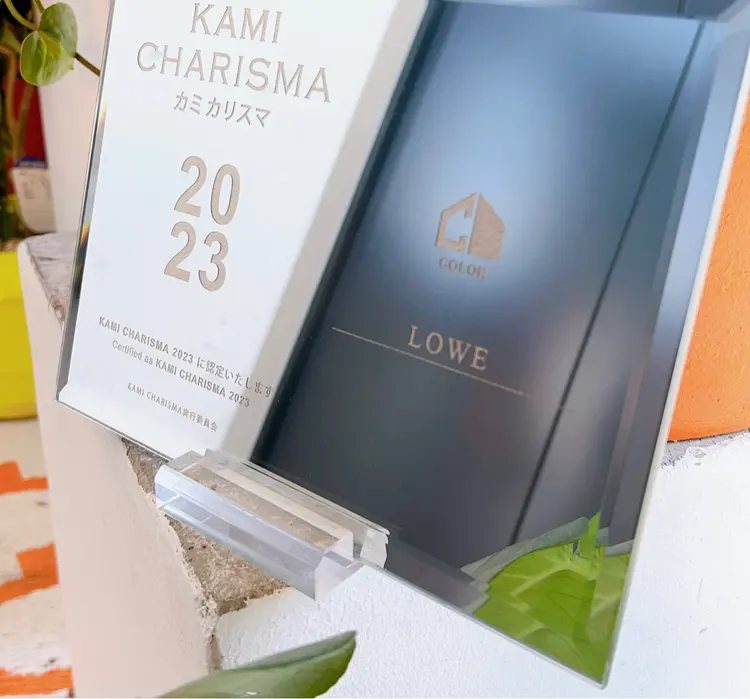 LOWEの内観・外観2