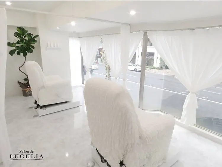 salon de   LUCULIAの内観・外観1