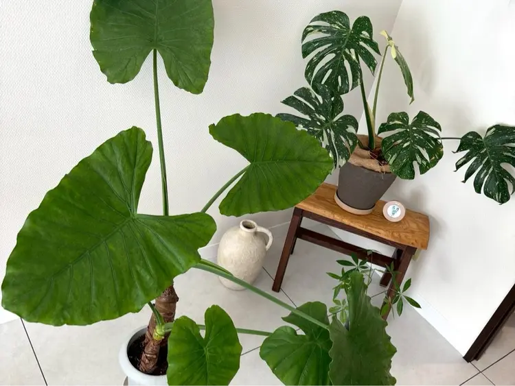 poka lashの内観・外観2