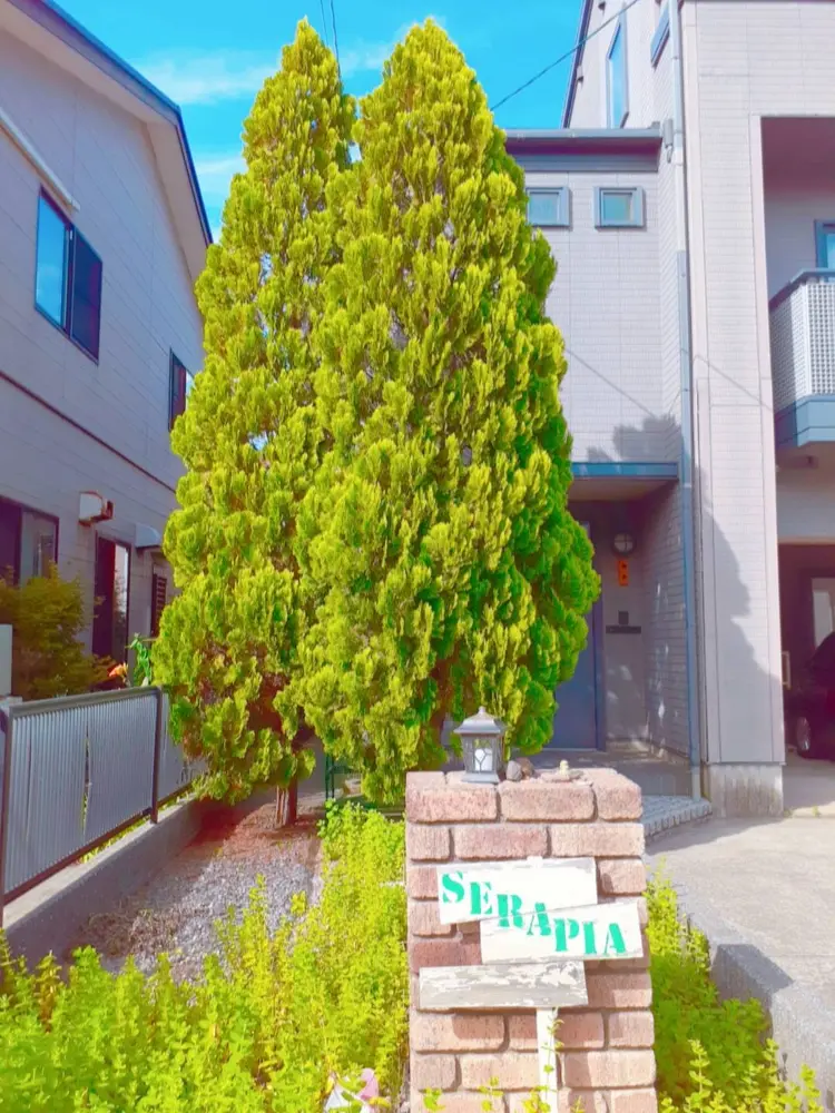 serapiaの内観・外観1