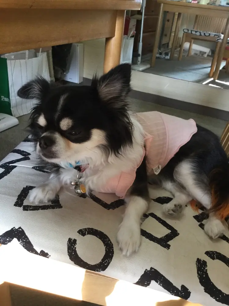 セリア美容室の内観・外観3