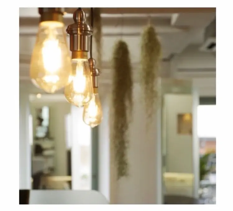 selmaの内観・外観2