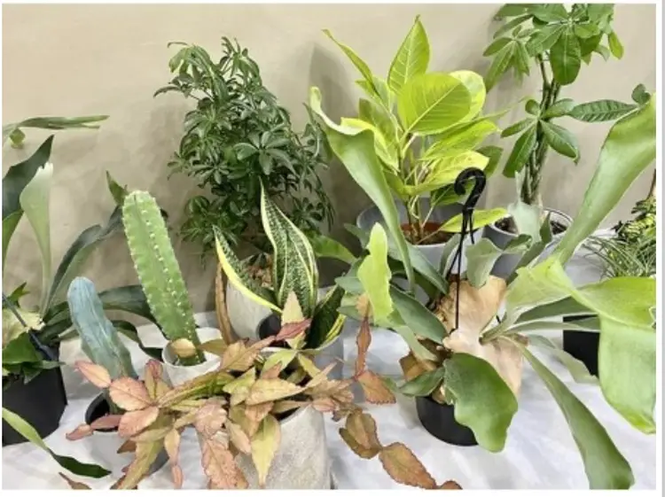 THE PARKの内観・外観3