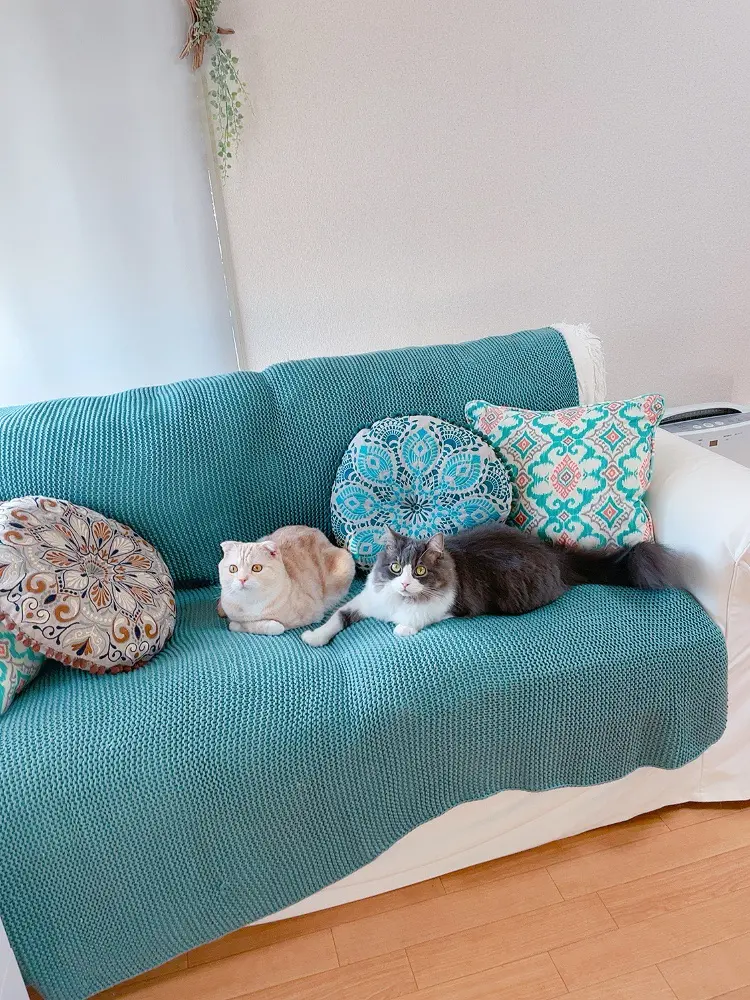 Nail salon gatitaの内観・外観2