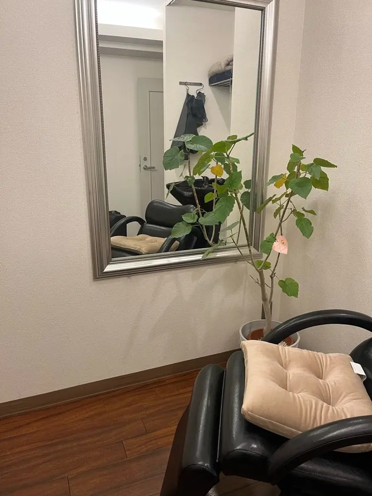 隠れ家サロンso youの内観・外観3