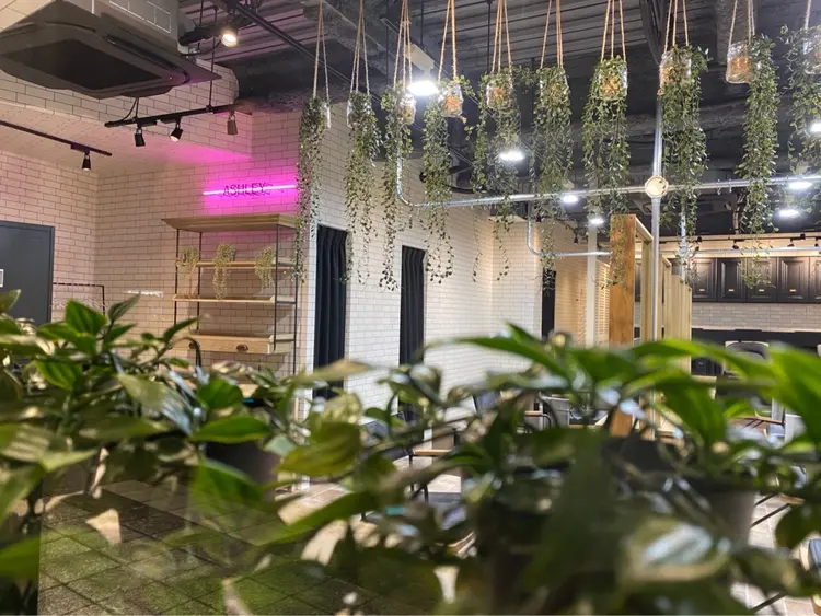 ASHLEYの内観・外観2