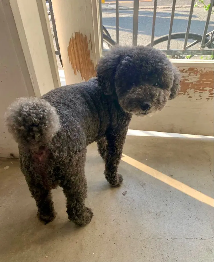 ticro.中目黒の内観・外観3