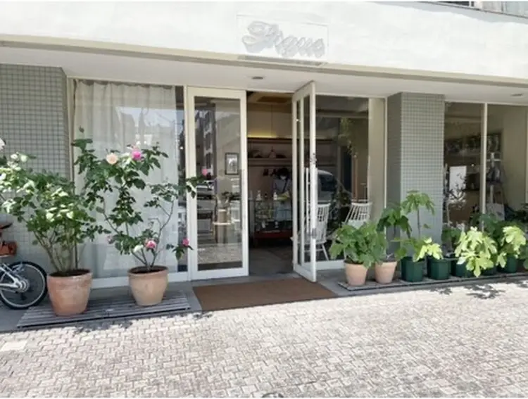 figueの内観・外観1