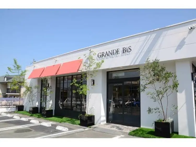 グランデビスの内観・外観1