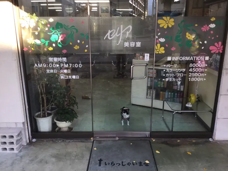 セリア美容室の内観・外観2