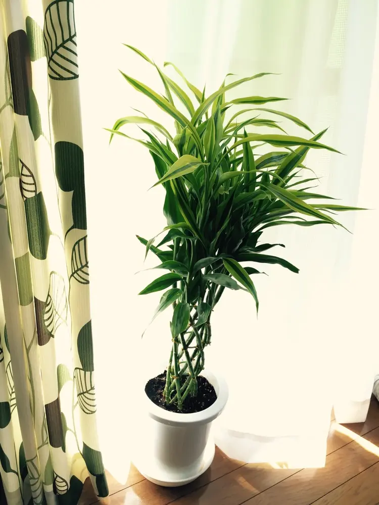 miminene  nailの内観・外観3