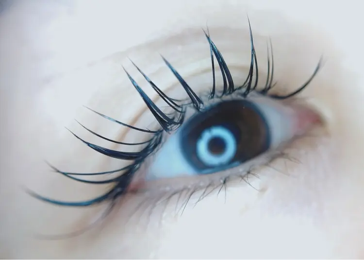 vorne・monterの内観・外観2