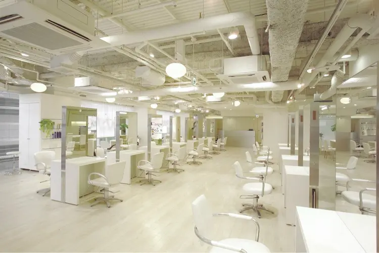 Orga Fiber Zoomの内観・外観1