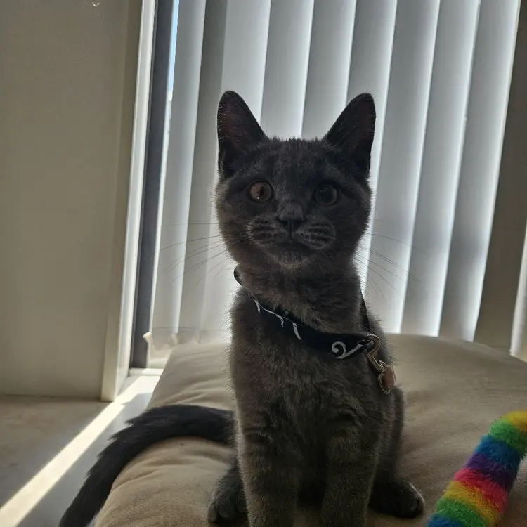 Neukの内観・外観1