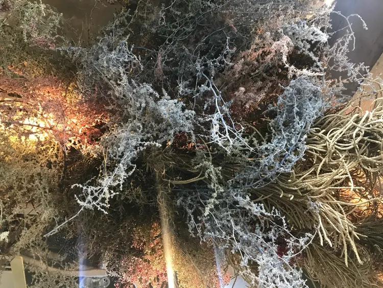 pia hair design yakuinの内観・外観3