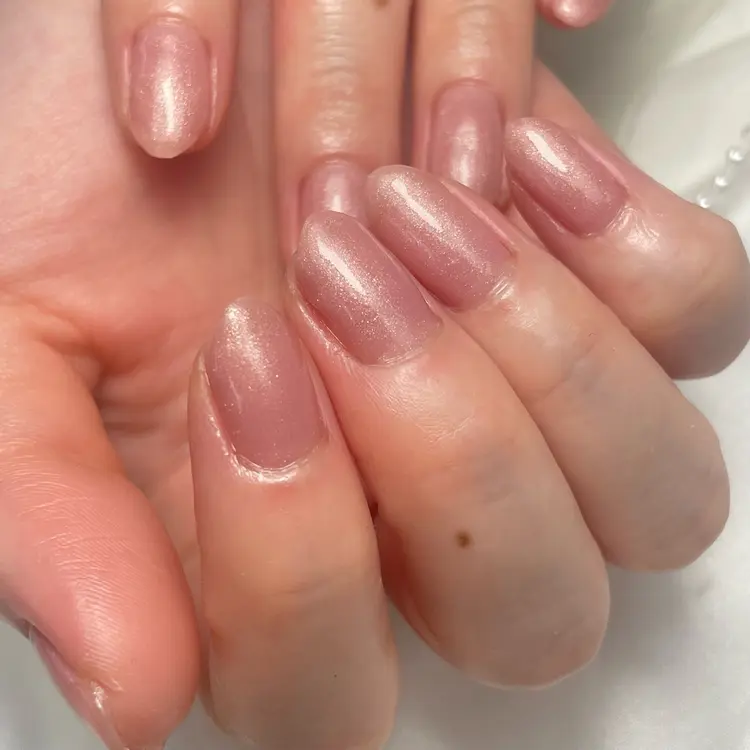 lupinus【ルピナス】の内観・外観3