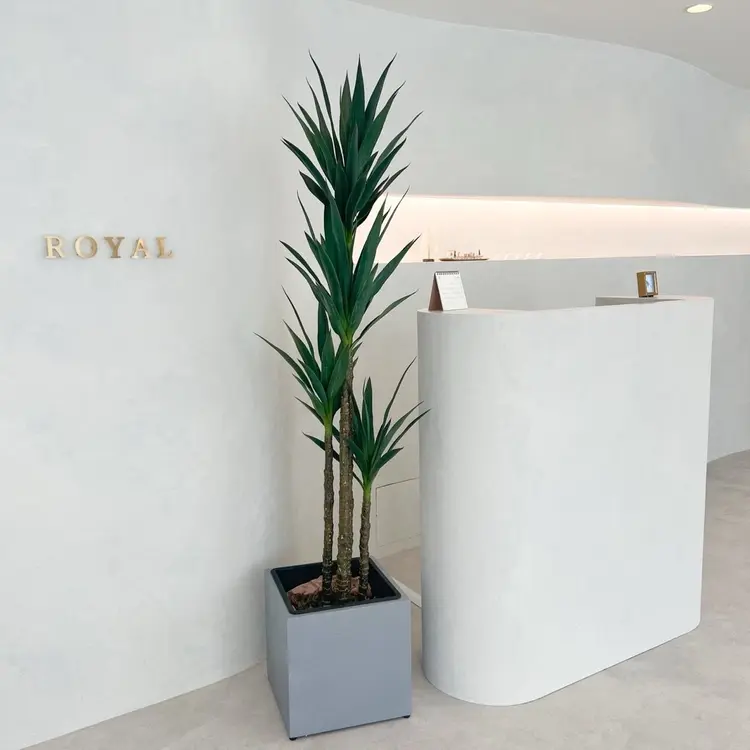 ROYALの内観・外観2