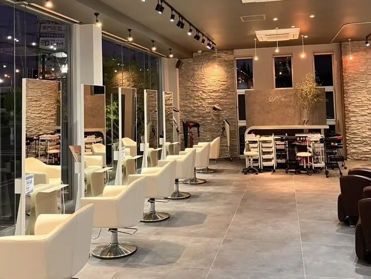 エマネクサスの内観・外観2