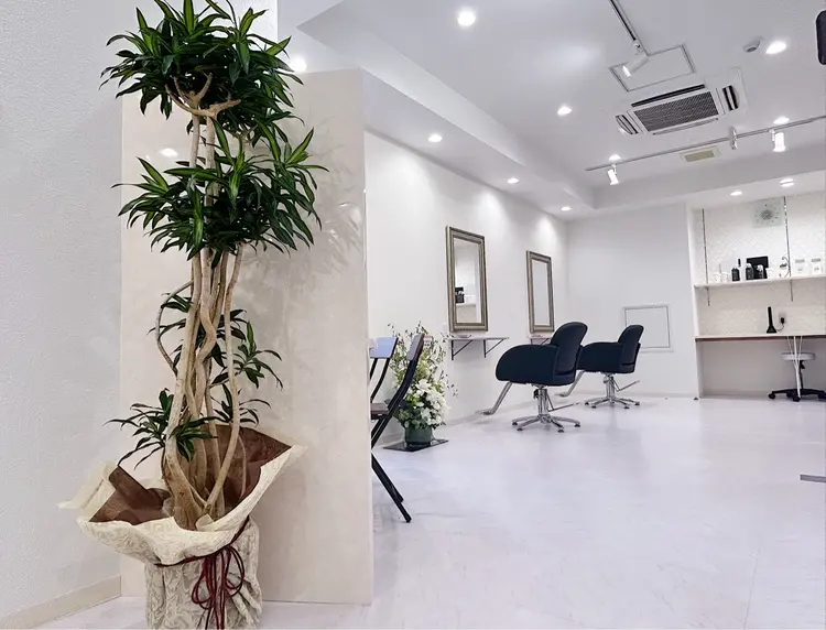 aspectの内観・外観1