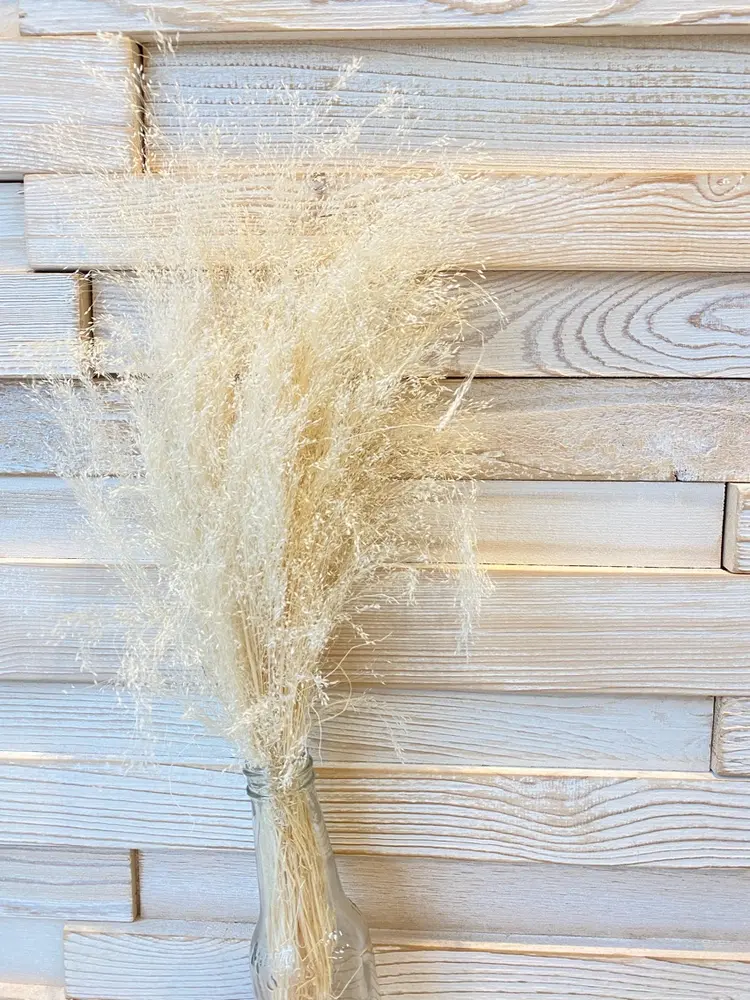 pagesの内観・外観3