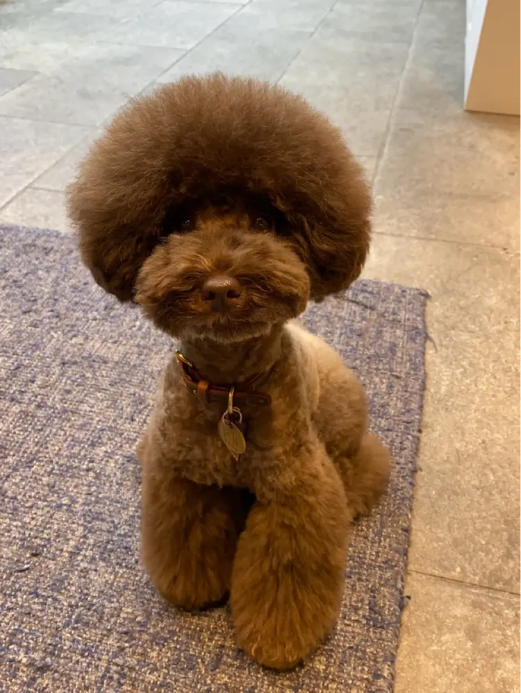 clomusの内観・外観3