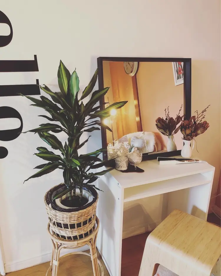 khon-taa  uutの内観・外観2