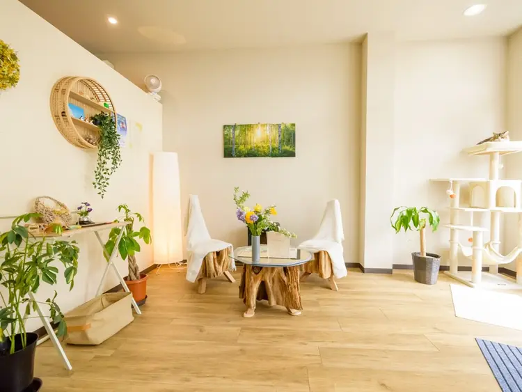 美容鍼・リラクゼーションサロン 晴々の内観・外観2