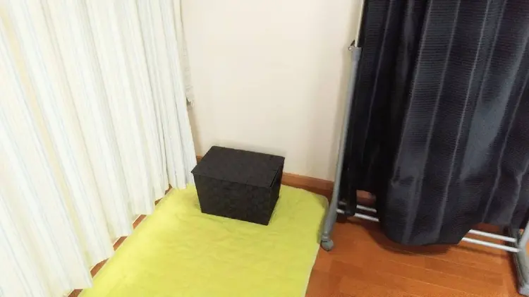 米子すりむミミの内観・外観2