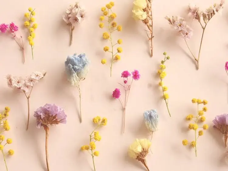 sōko   Hair&Nail Salonの内観・外観3