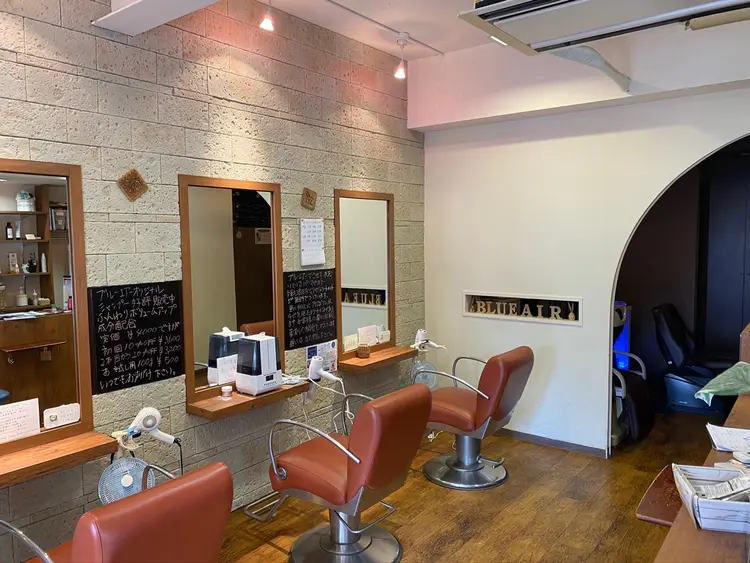 ブルーエアーの内観・外観2