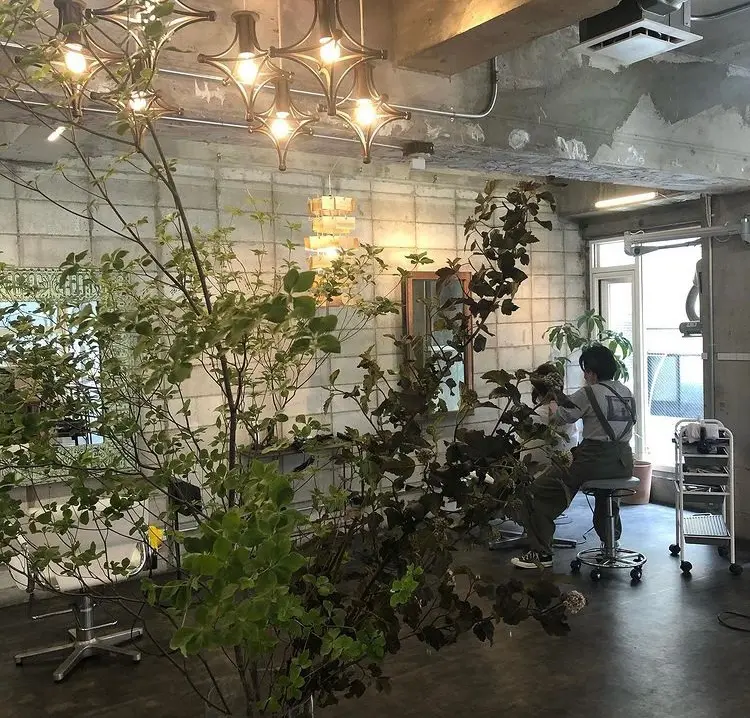 Mikyoの内観・外観2