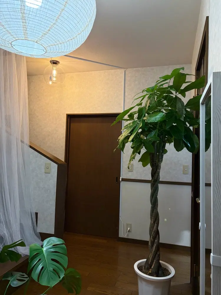 LUVRE/ルーヴレの内観・外観3