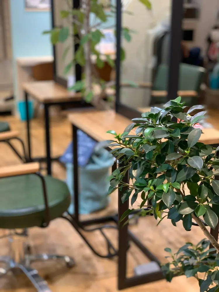 lala zipanguの内観・外観2